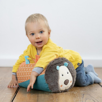 Crawling roll lion