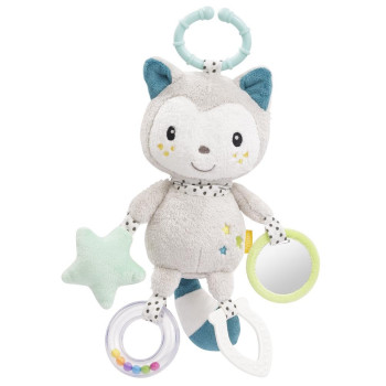 Activity cat with ring