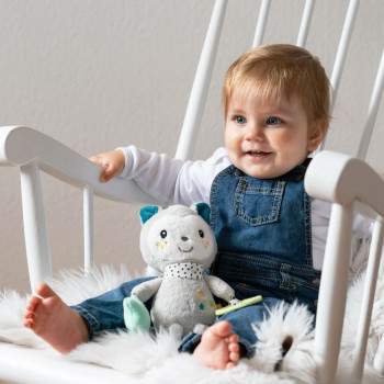 Activity cat with ring