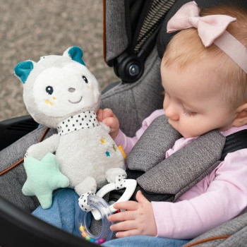 Activity cat with ring