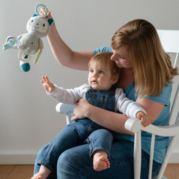 Activity cat with ring