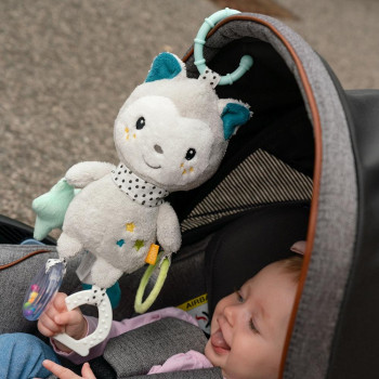 Activity cat with ring