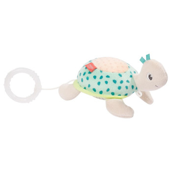 Mini musical turtle
