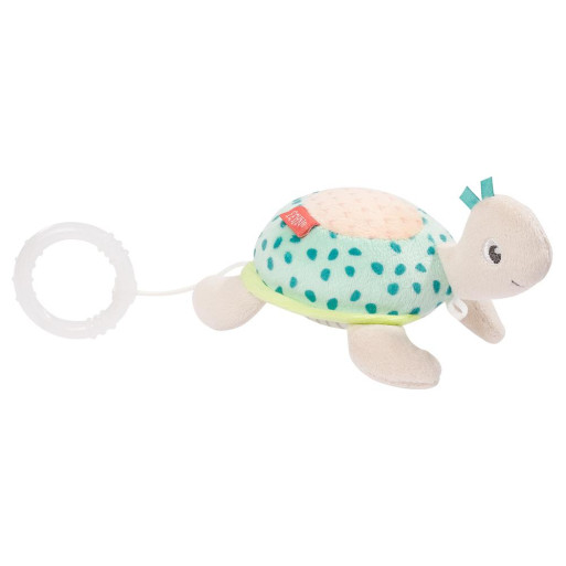 Mini musical turtle