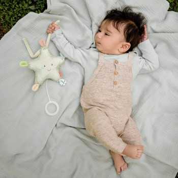 Mini musical starfish