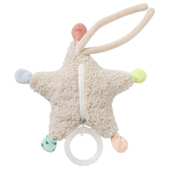 Mini musical starfish