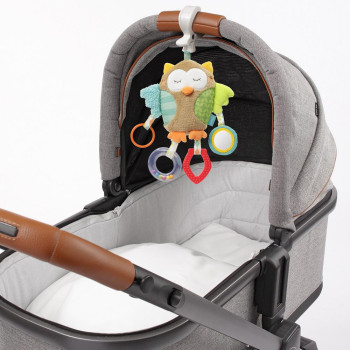 Activity owl with clamp