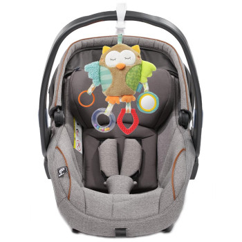 Activity owl with clamp