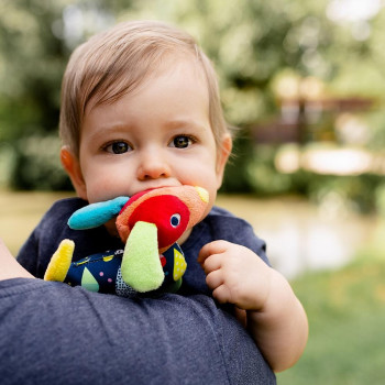 Grabber dog with teether