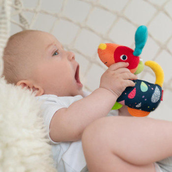 Grabber dog with teether