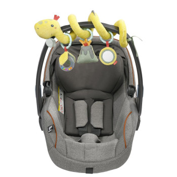 Activity spiral dino