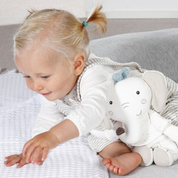 Activity elephant fehnNATUR