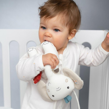 Musical elephant fehnNATUR