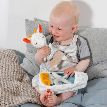 Cuddly giraffe with carry bag