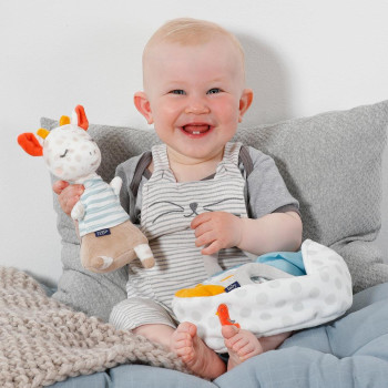 Cuddly giraffe with carry bag