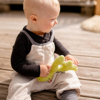 Soft ring rattle dino