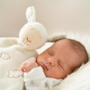 Comforter sheep deluxe