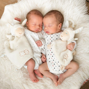 Comforter sheep deluxe