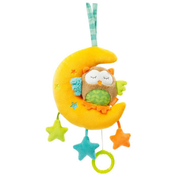 Musical owl in moon