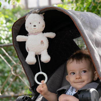 Musical bear