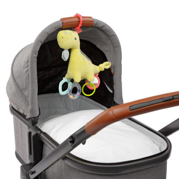 Activity dino