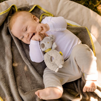 Soft ring rattle koala