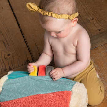 Crawling roll bear
