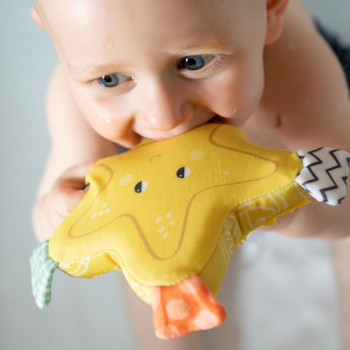 Starfish bath sponge