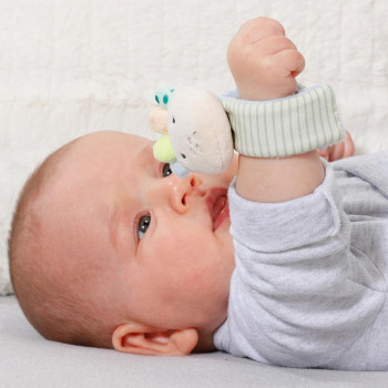 Wrist rattle octopus