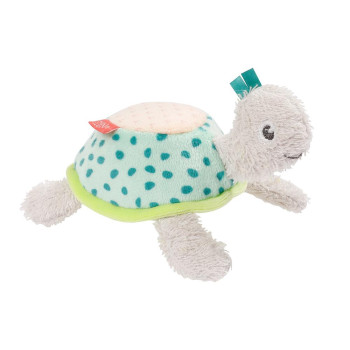 Bathing sponge turtle