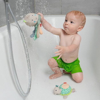 Bathing sponge turtle