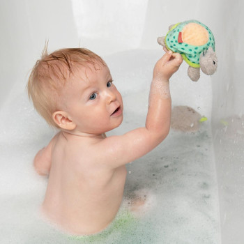 Bathing sponge turtle