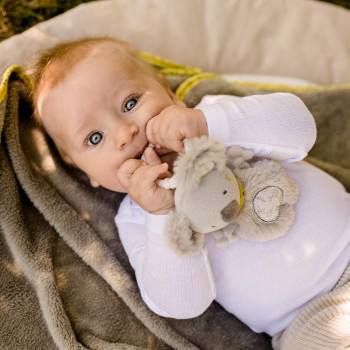 Mini koala
