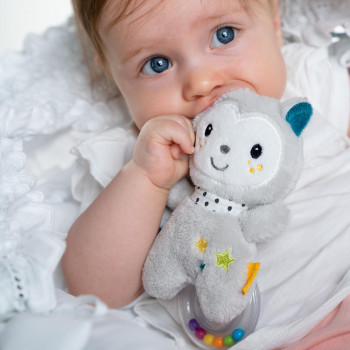Rattle ring cat