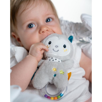 Rattle ring cat