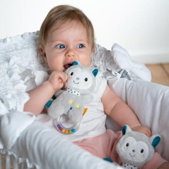 Rattle ring cat