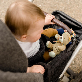Mini musical teddy
