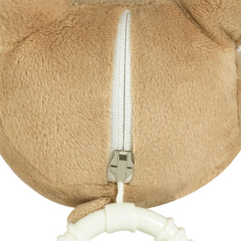 Mini musical teddy