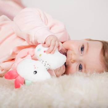 Rattle ring unicorn