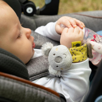Wrist rattle koala