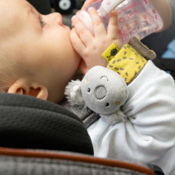 Wrist rattle koala