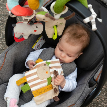 Crinkle toy giraffe with ring