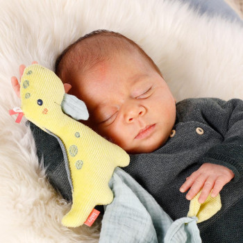 Comforter dino