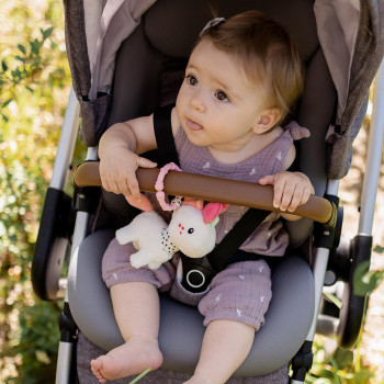 Mini unicorn