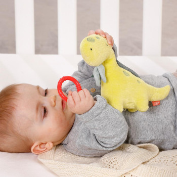 Mini musical dino