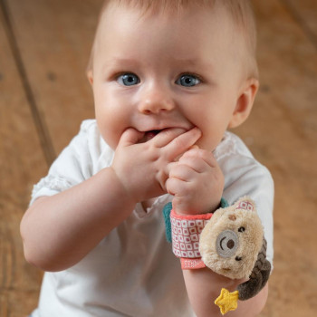 Wrist rattle bear
