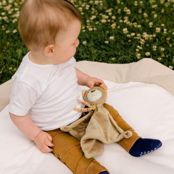 Comforter teddy
