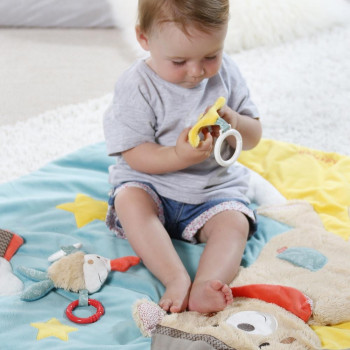 3-D activity quilt Bruno