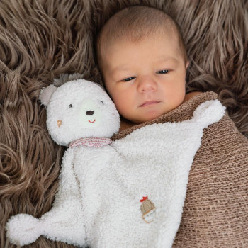 Comforter bear