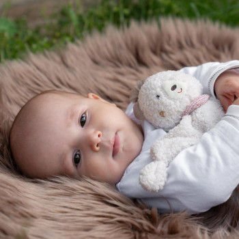 Comforter bear